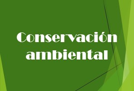 Conservación ambiental